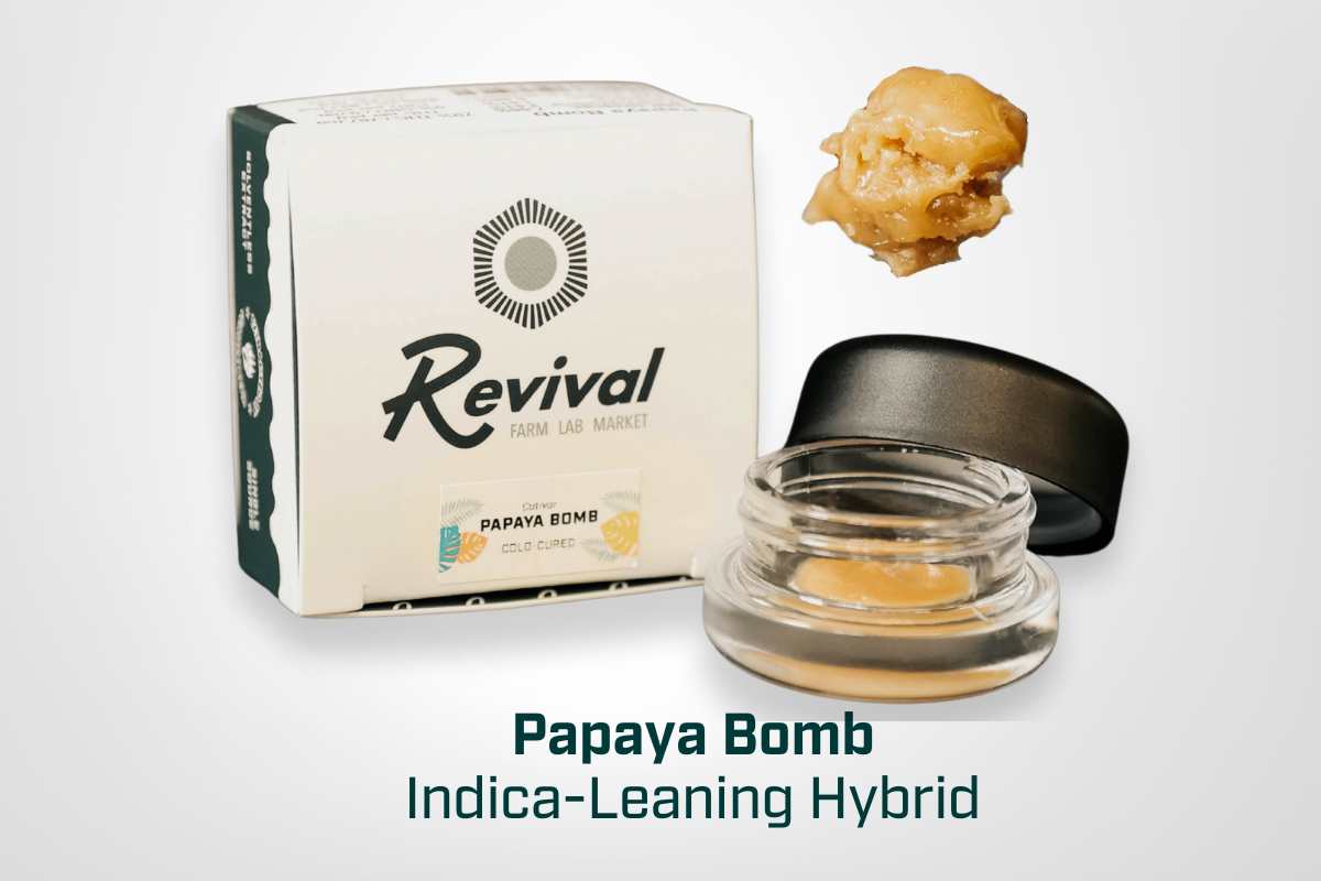 Papaya Bomb Live Rosin, an indica-leaning hybrid with 7.6% total terpenes, shown in an open jar highlighting its creamy texture, tropical and floral aroma, smooth consistency, and relaxing, fruit-forward flavor profile.