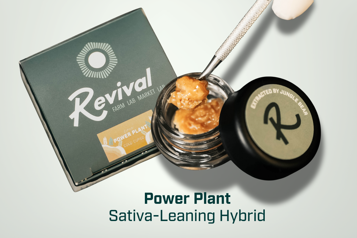 Power Plant Live Rosin, a sativa-leaning hybrid with 6.0% total terpenes, shown in an open jar highlighting its creamy texture, hash-heavy and earthy aroma, and uplifting, focused, and euphoric experience.