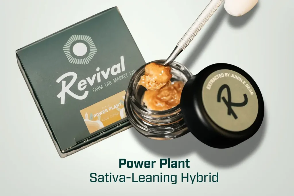 Power Plant Live Rosin, a sativa-leaning hybrid with 6.0% total terpenes, shown in an open jar highlighting its creamy texture, hash-heavy and earthy aroma, and uplifting, focused, and euphoric experience