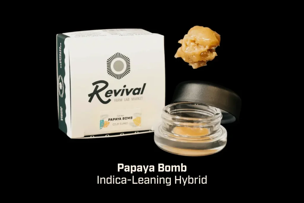 Papaya Bomb Live Rosin, an indica-leaning hybrid with 7.6% total terpenes, shown in an open jar highlighting its creamy texture, tropical and floral aroma, smooth consistency, and relaxing, fruit-forward flavor profile